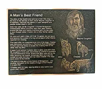 Bronze Plaque 4