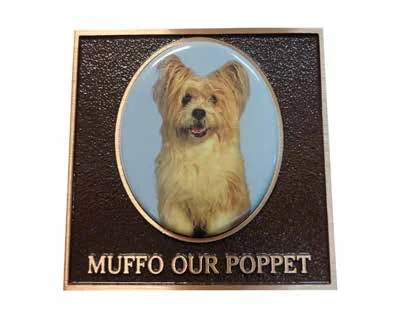 Pet Memorial 1